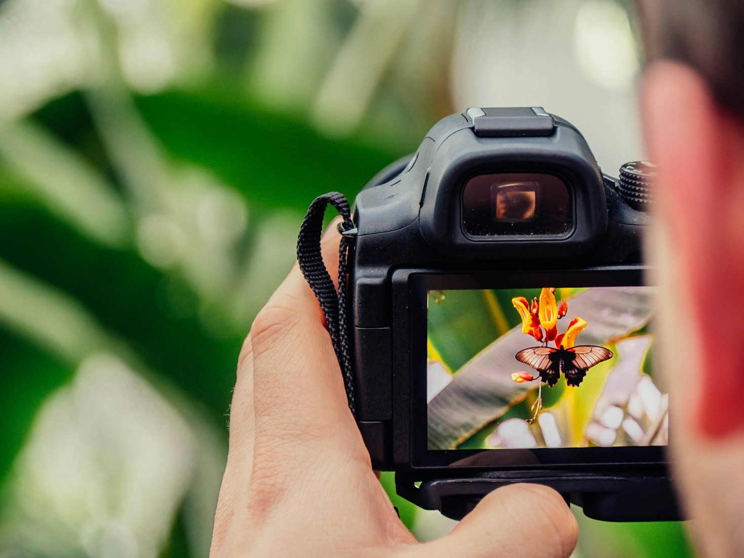 5 Dicas para Escolher o Fotógrafo Ideal