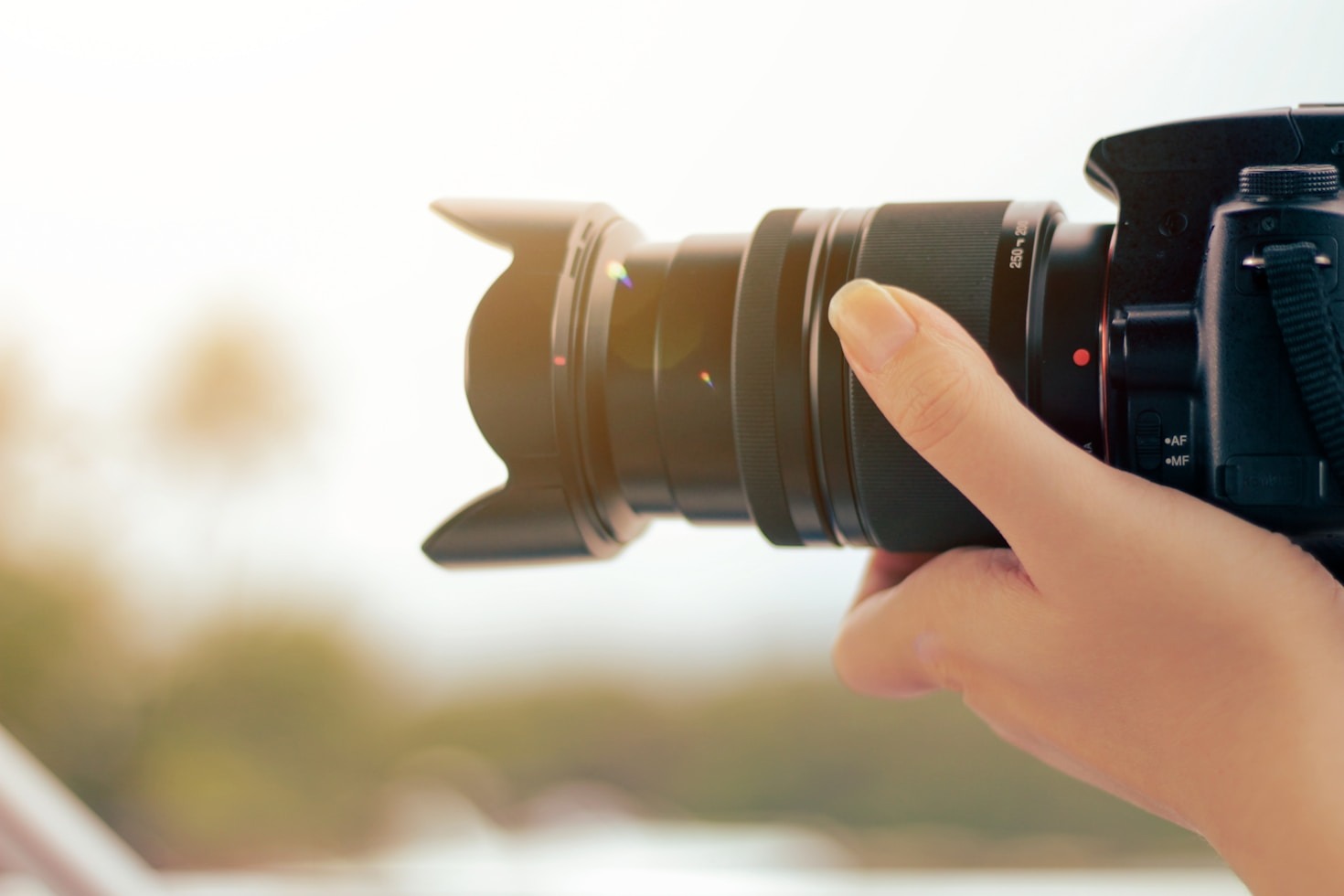 Histórias de Sucesso: Marcas Que Brilharam com Boas Imagens